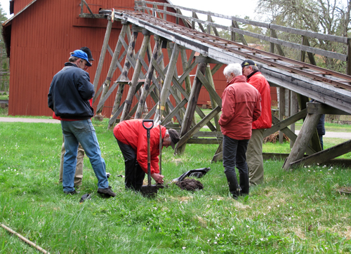 Plantering